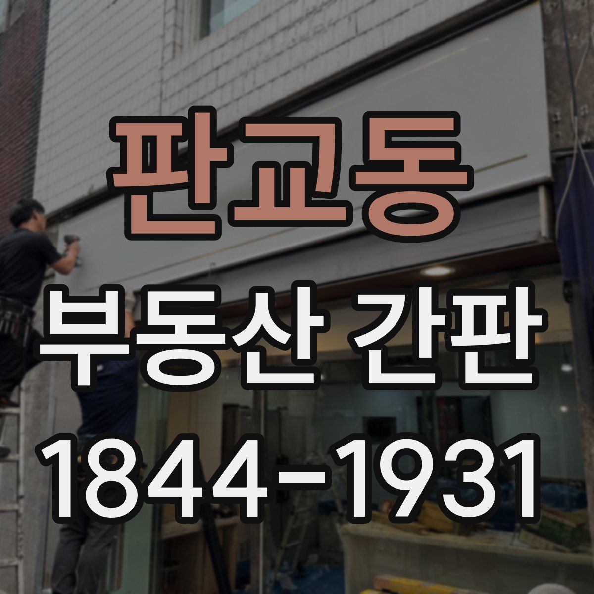 판교동 부동산 간판