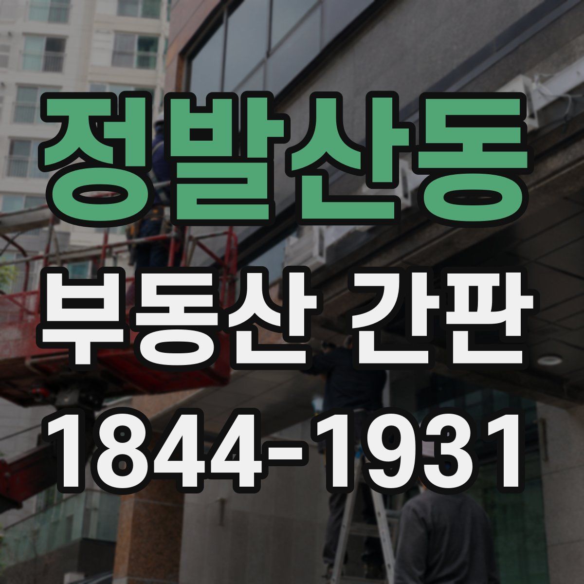 정발산동 부동산 간판