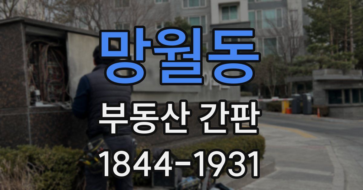 망월동 부동산 간판