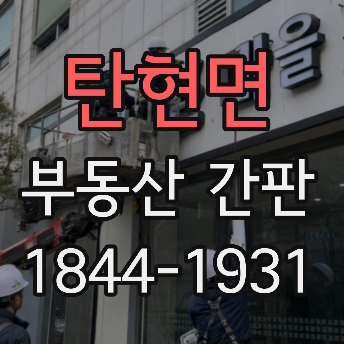 탄현면 부동산 간판