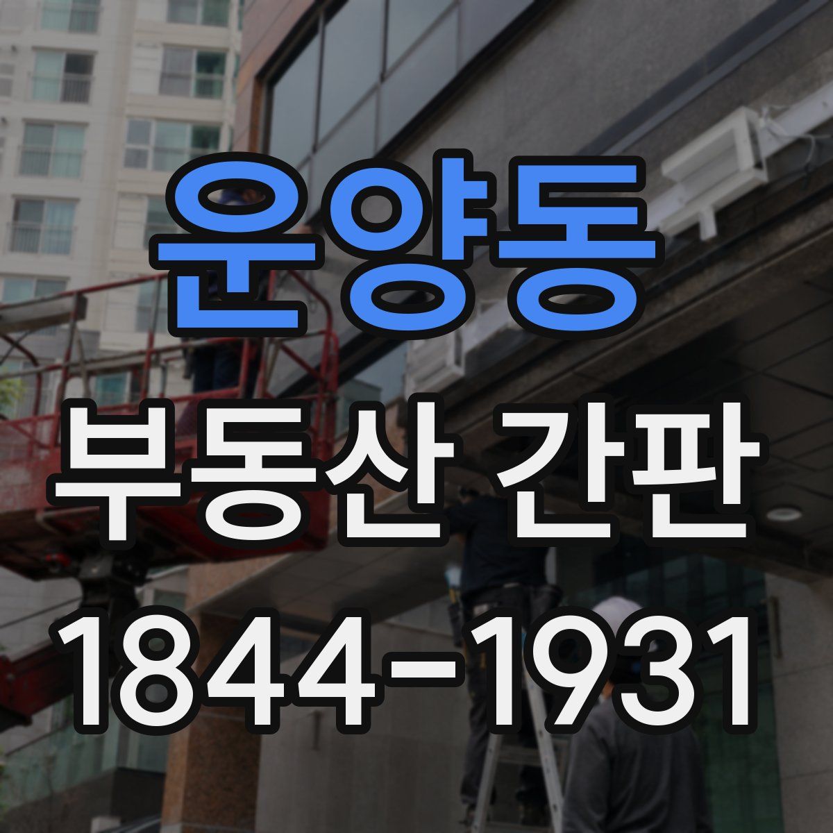 운양동 부동산 간판