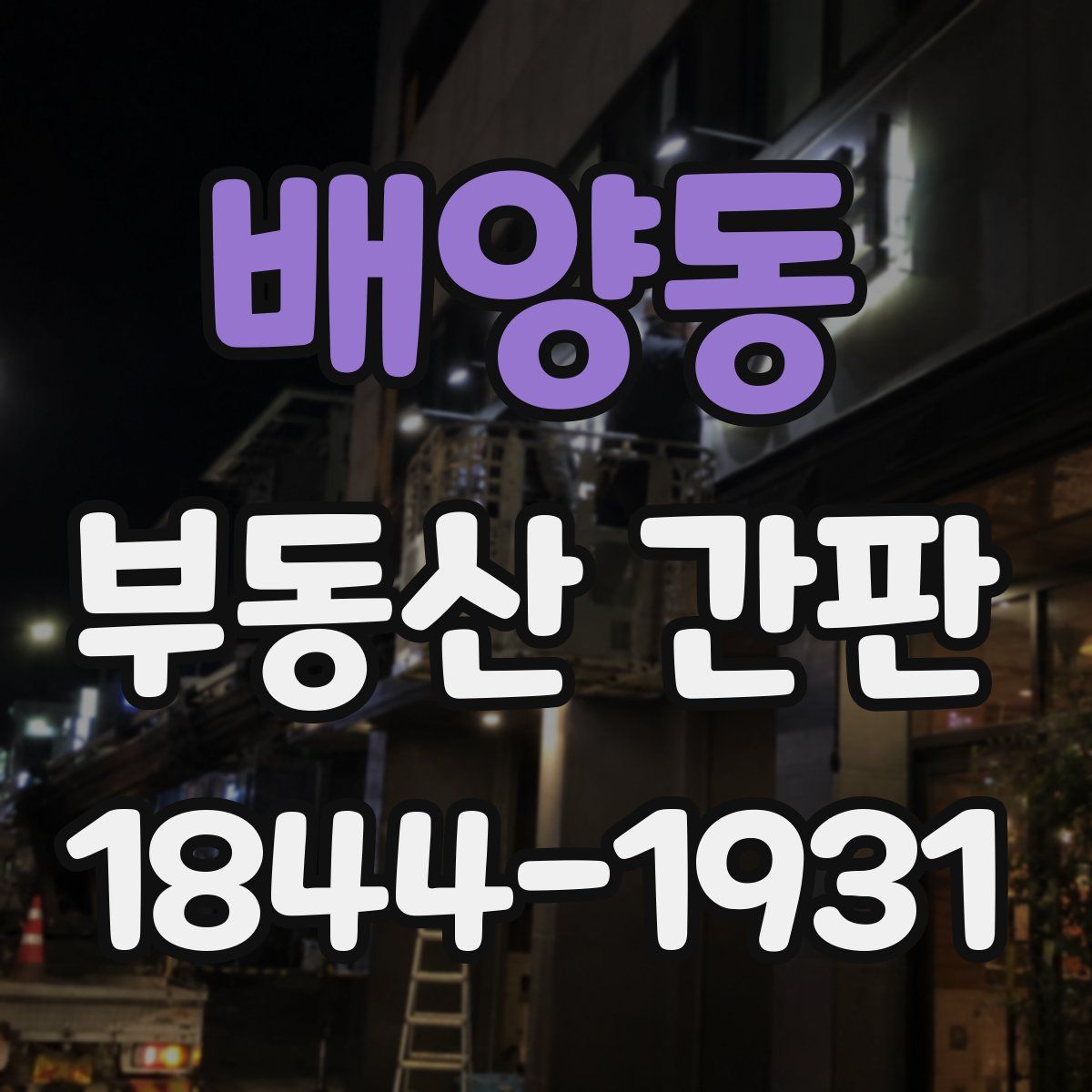 배양동 부동산 간판