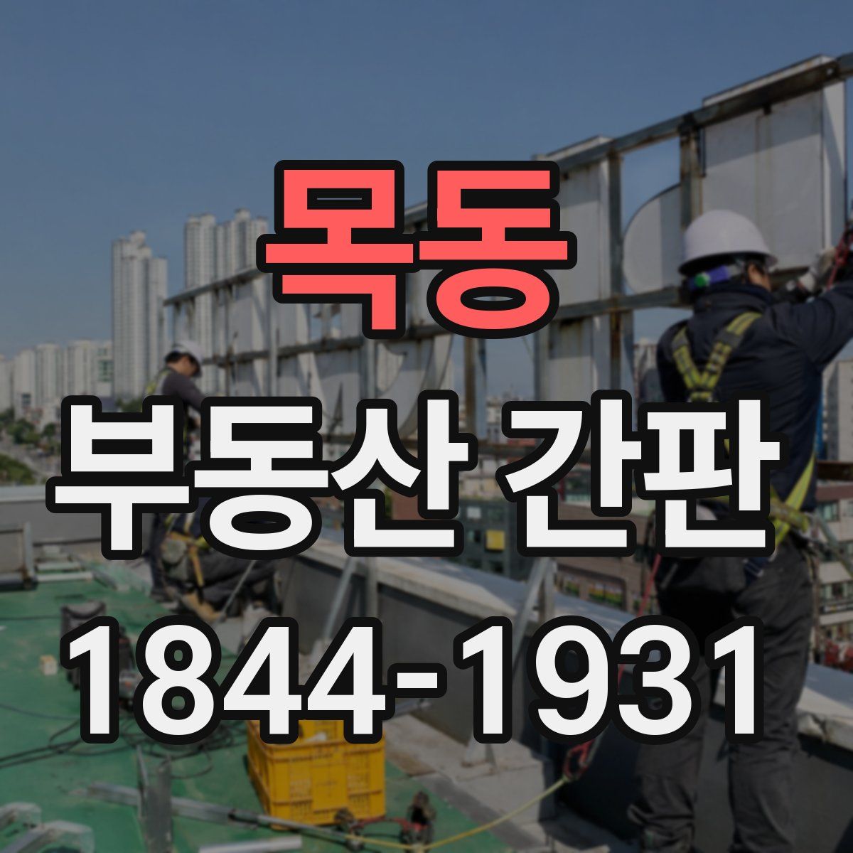 목동 부동산 간판