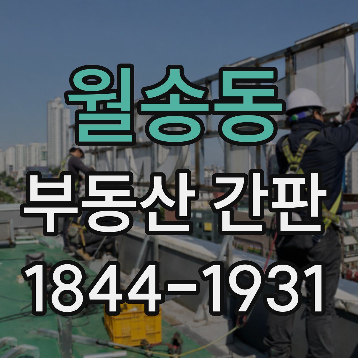 월송동 부동산 간판