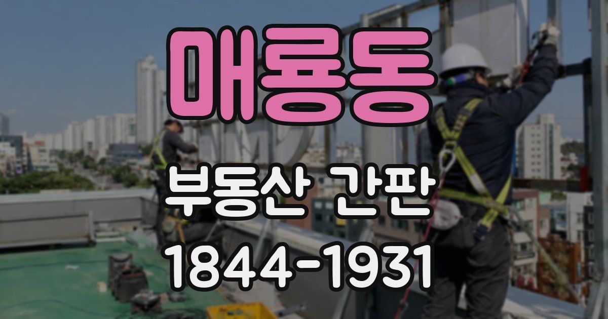 매룡동 부동산 간판