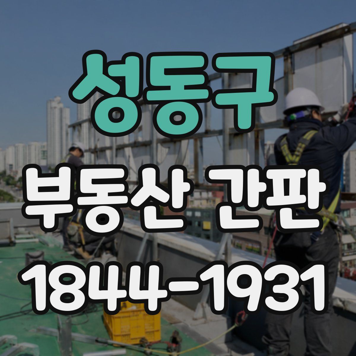 성동구 부동산 간판