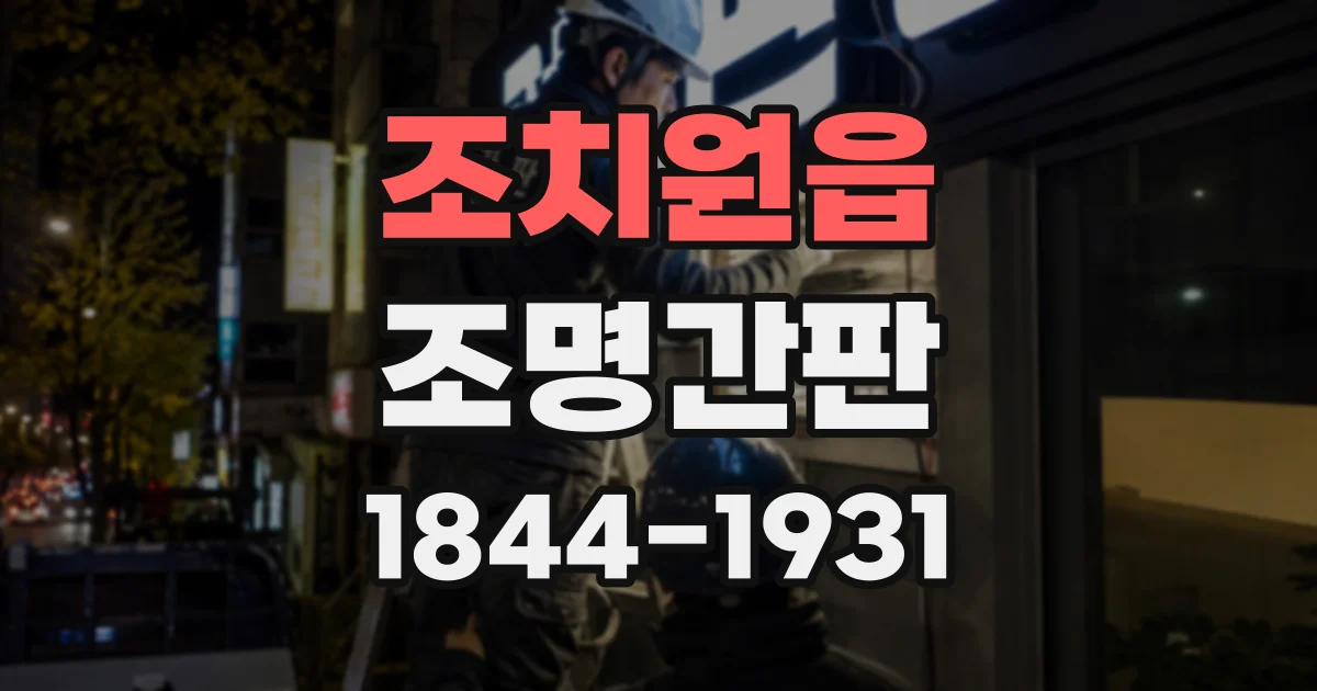 조치원읍 조명간판