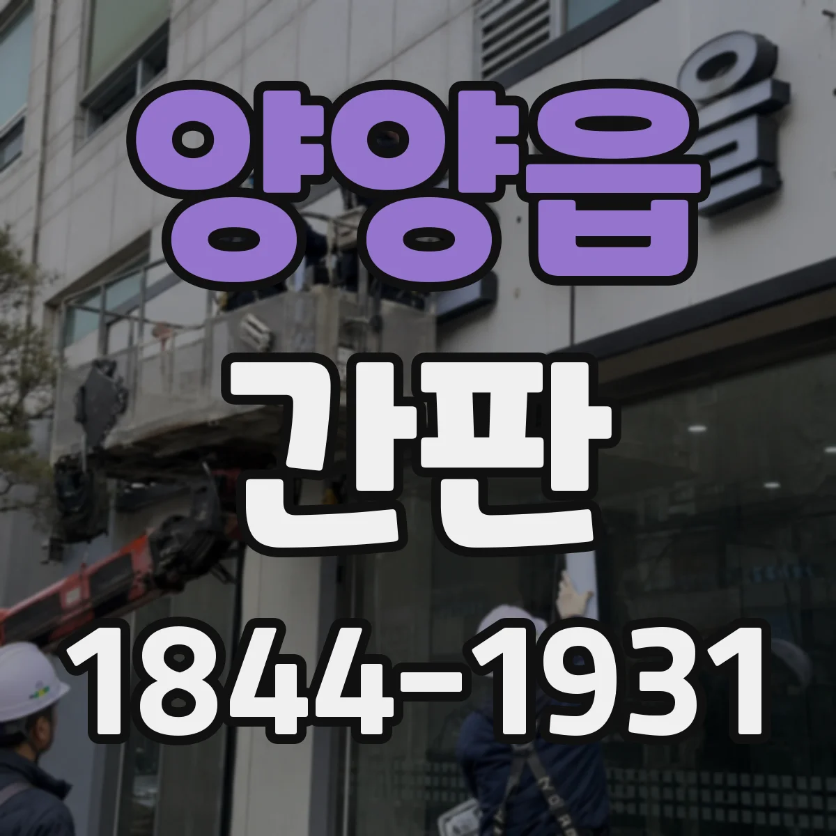 양양읍 간판