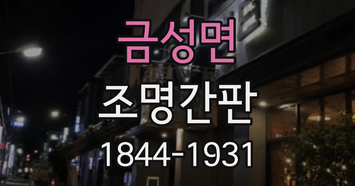 금성면 조명간판