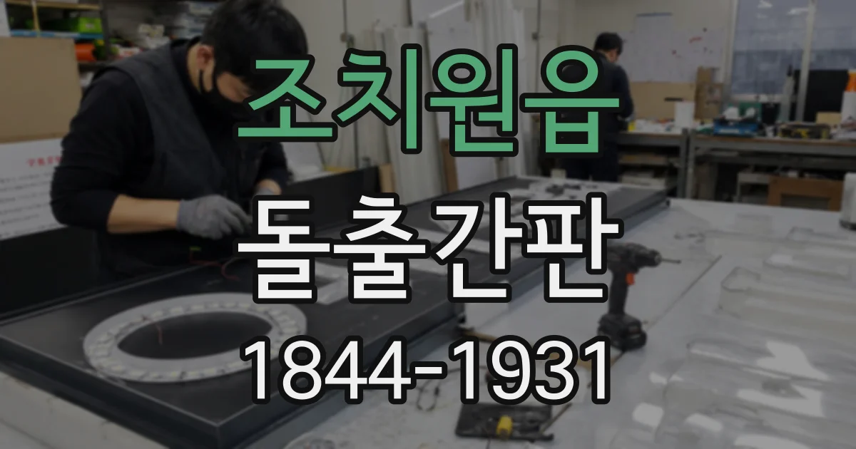조치원읍 돌출간판