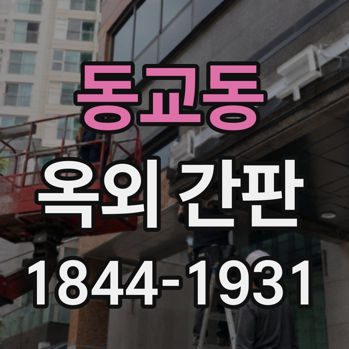 동교동 옥외 간판