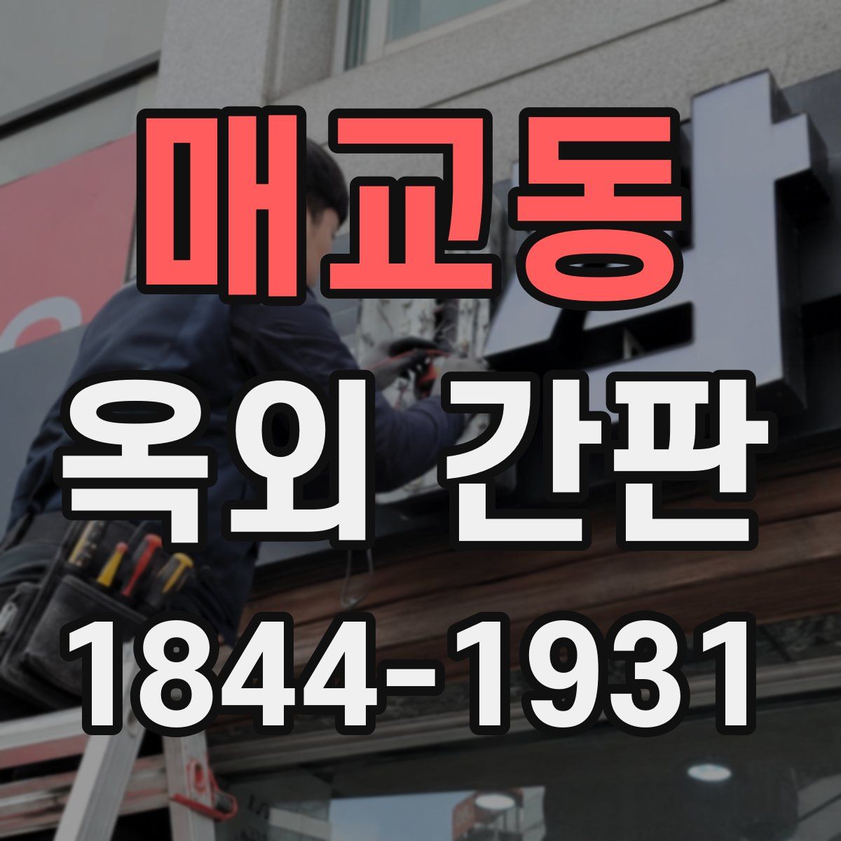 매교동 옥외 간판