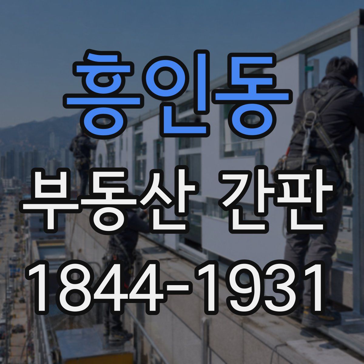 흥인동 부동산 간판