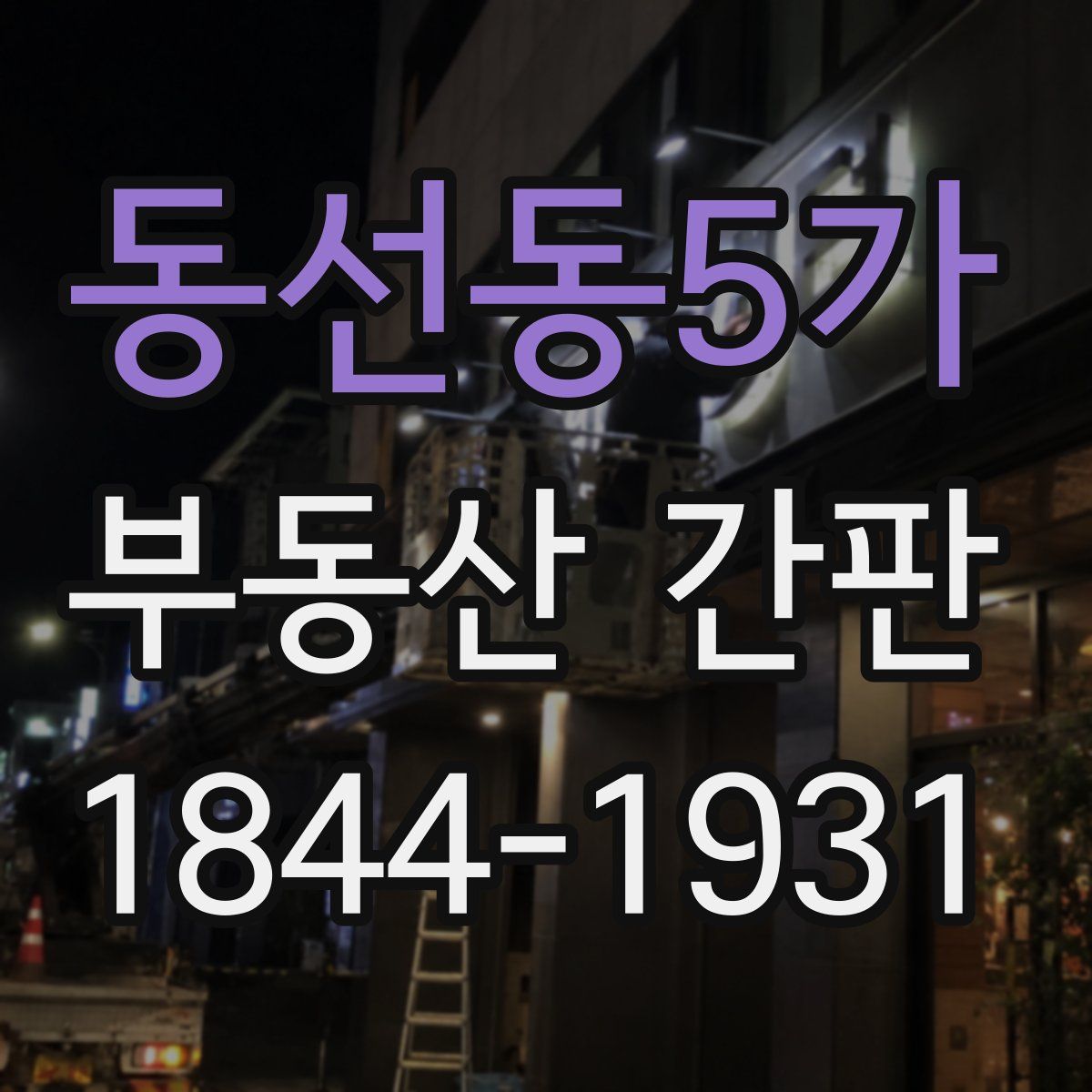 동선동5가 부동산 간판