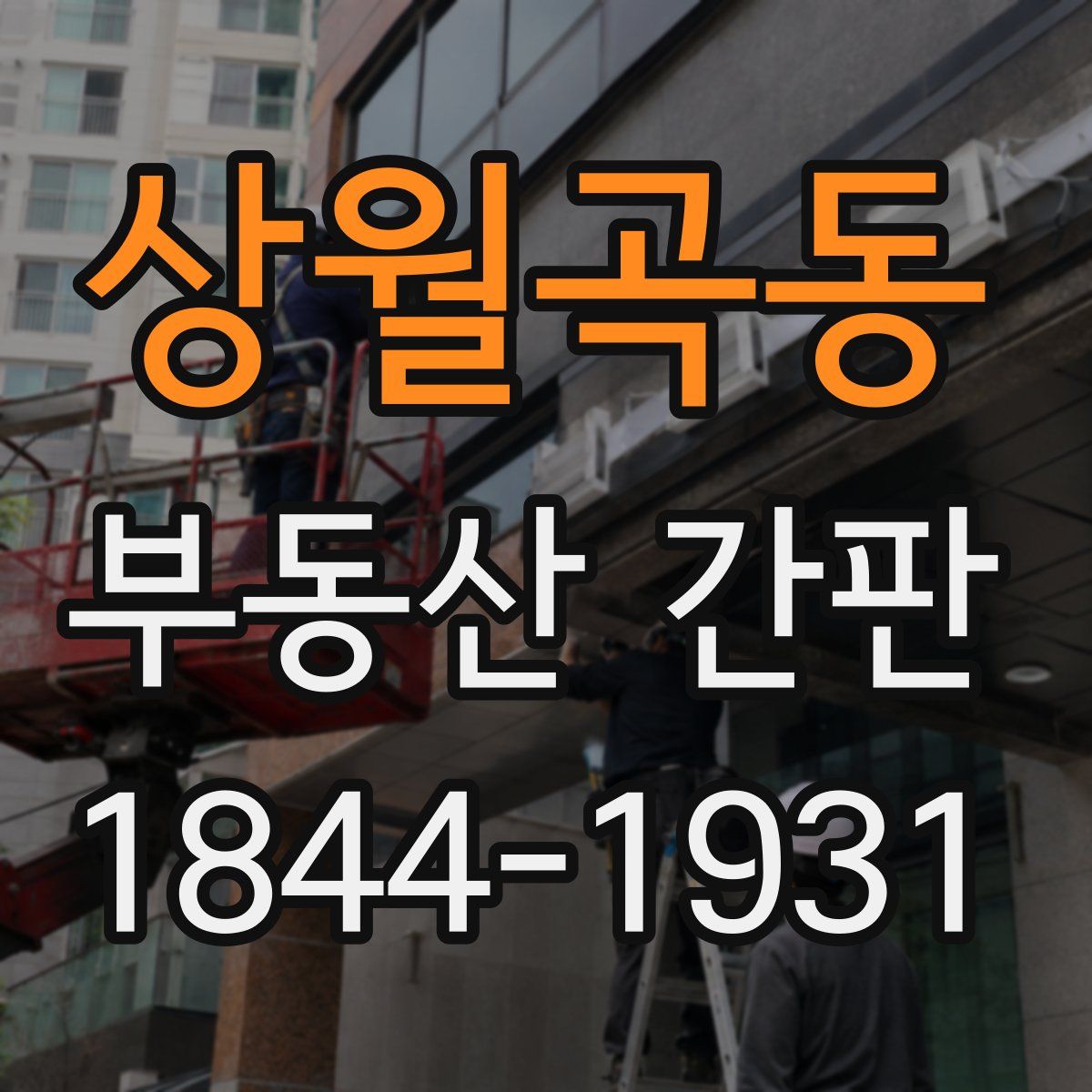 상월곡동 부동산 간판