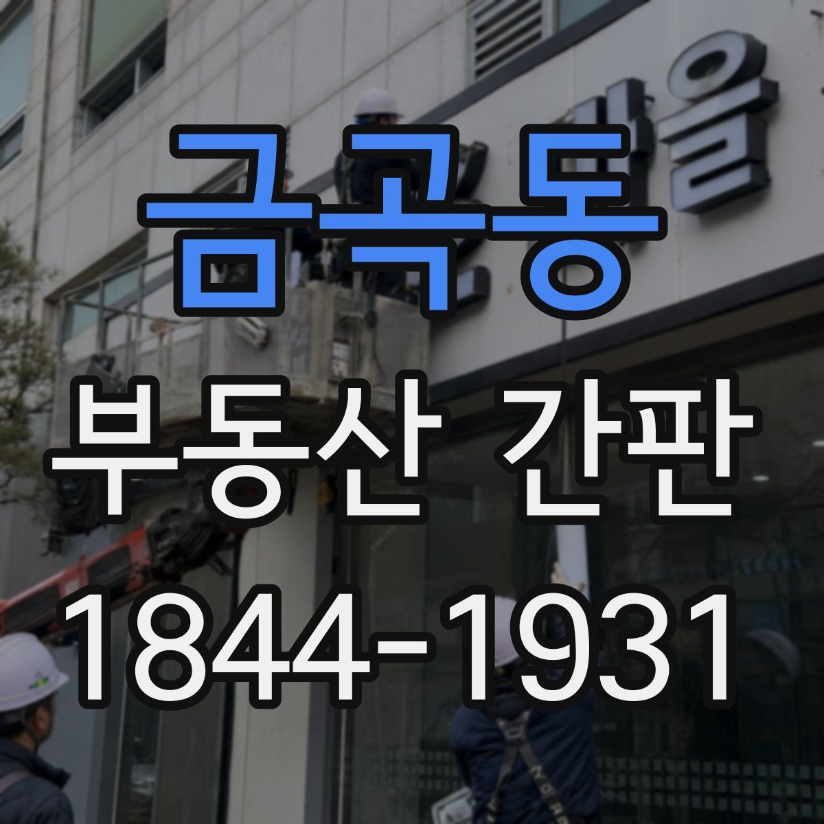 금곡동 부동산 간판