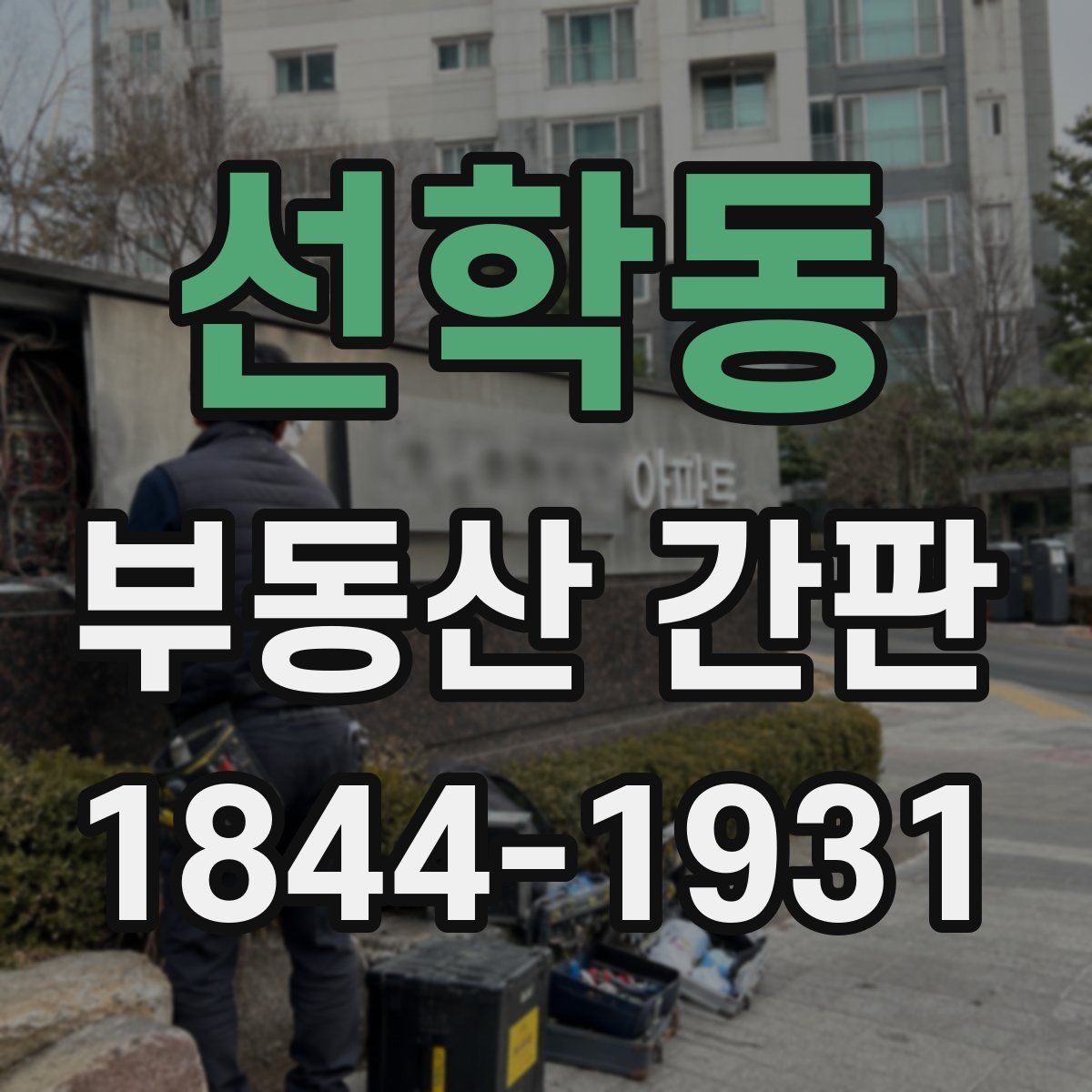 선학동 부동산 간판
