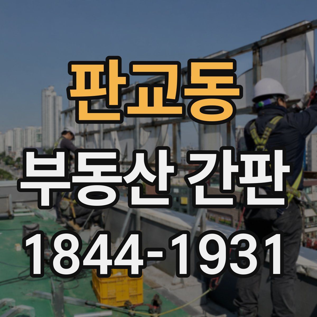 판교동 부동산 간판