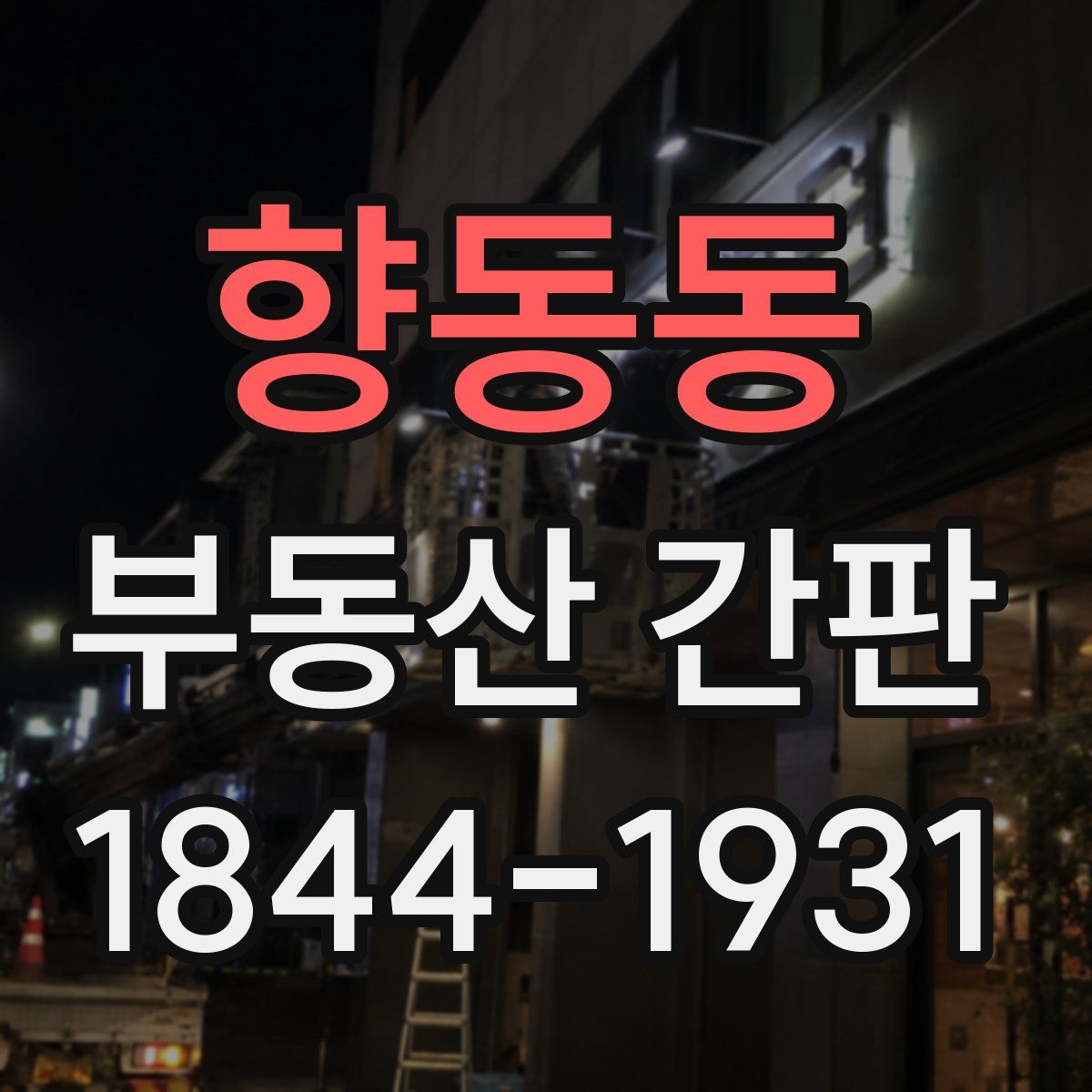향동동 부동산 간판