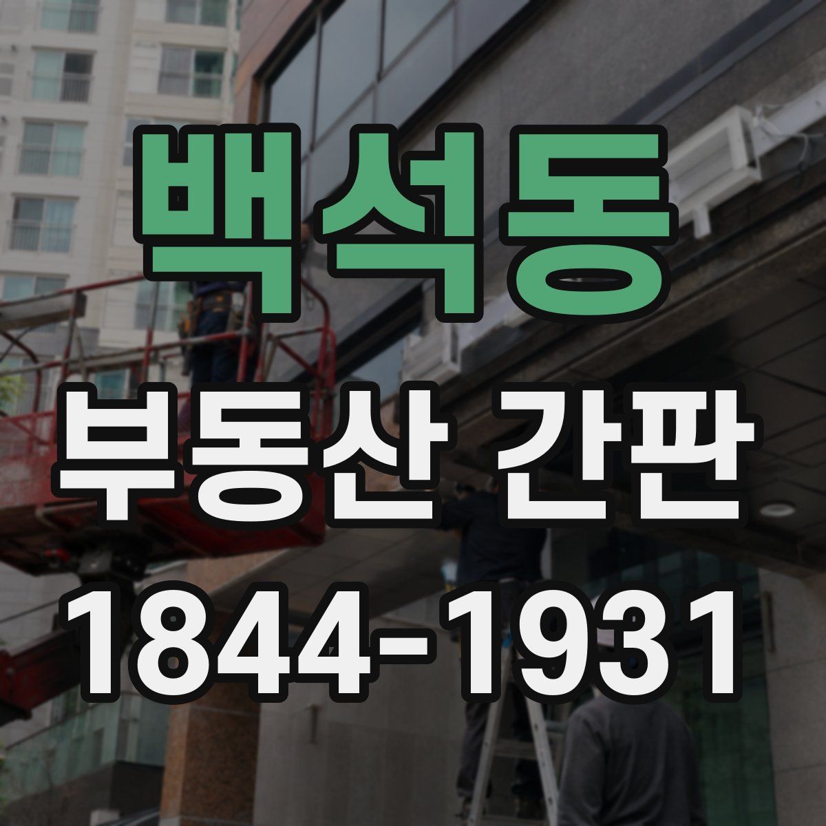 백석동 부동산 간판