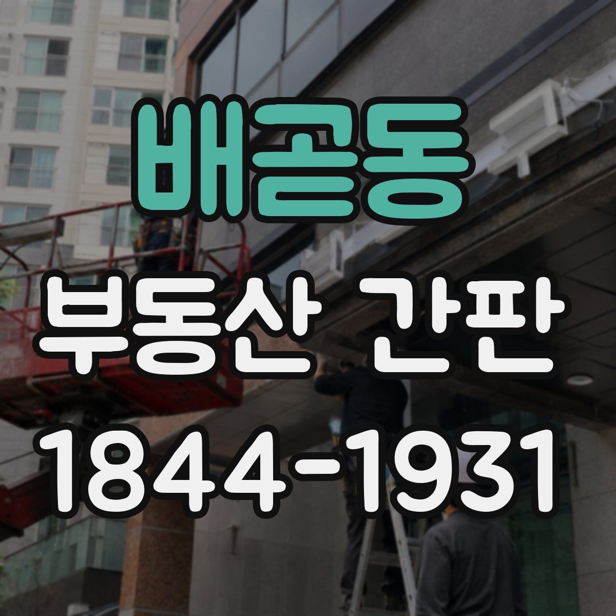 배곧동 부동산 간판