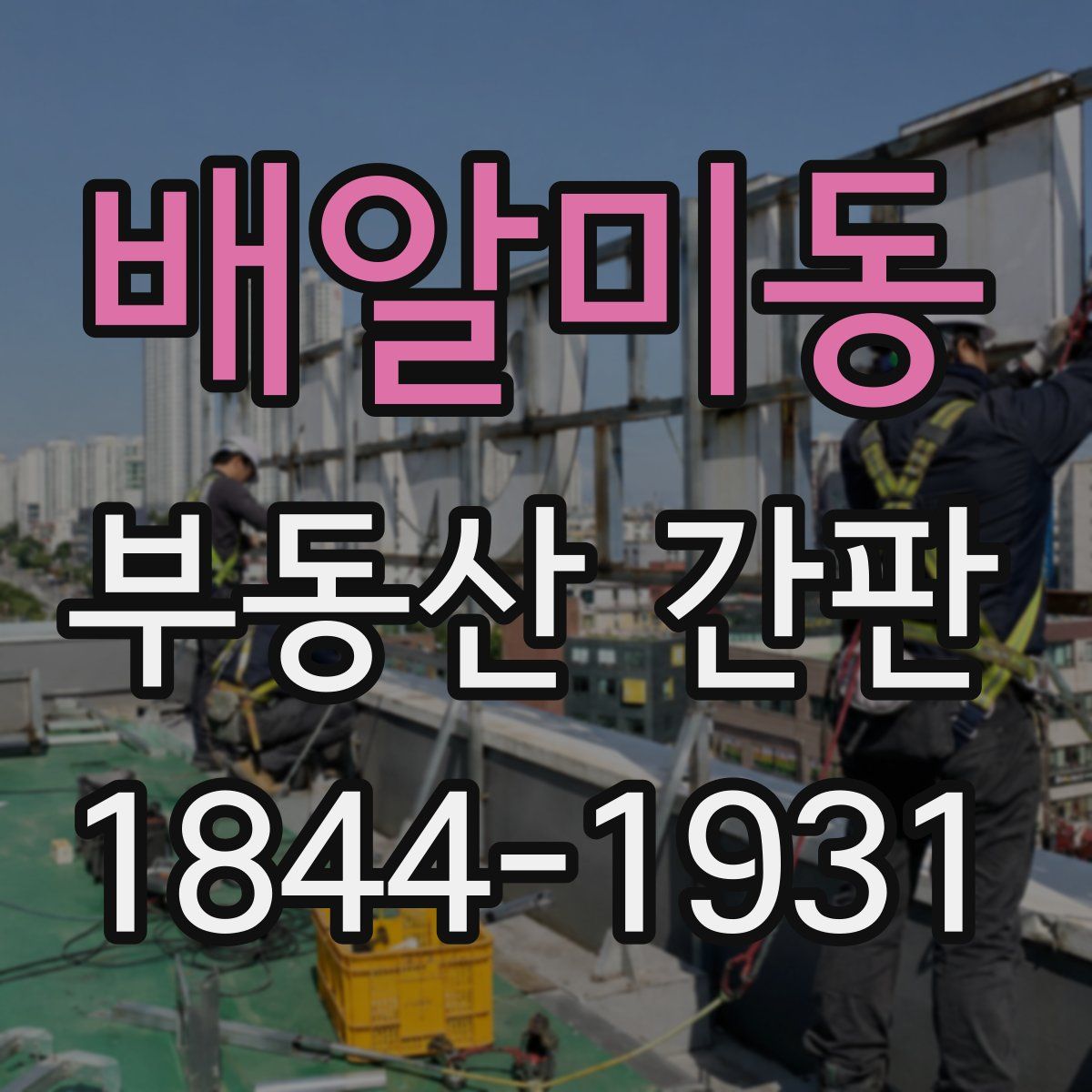 배알미동 부동산 간판