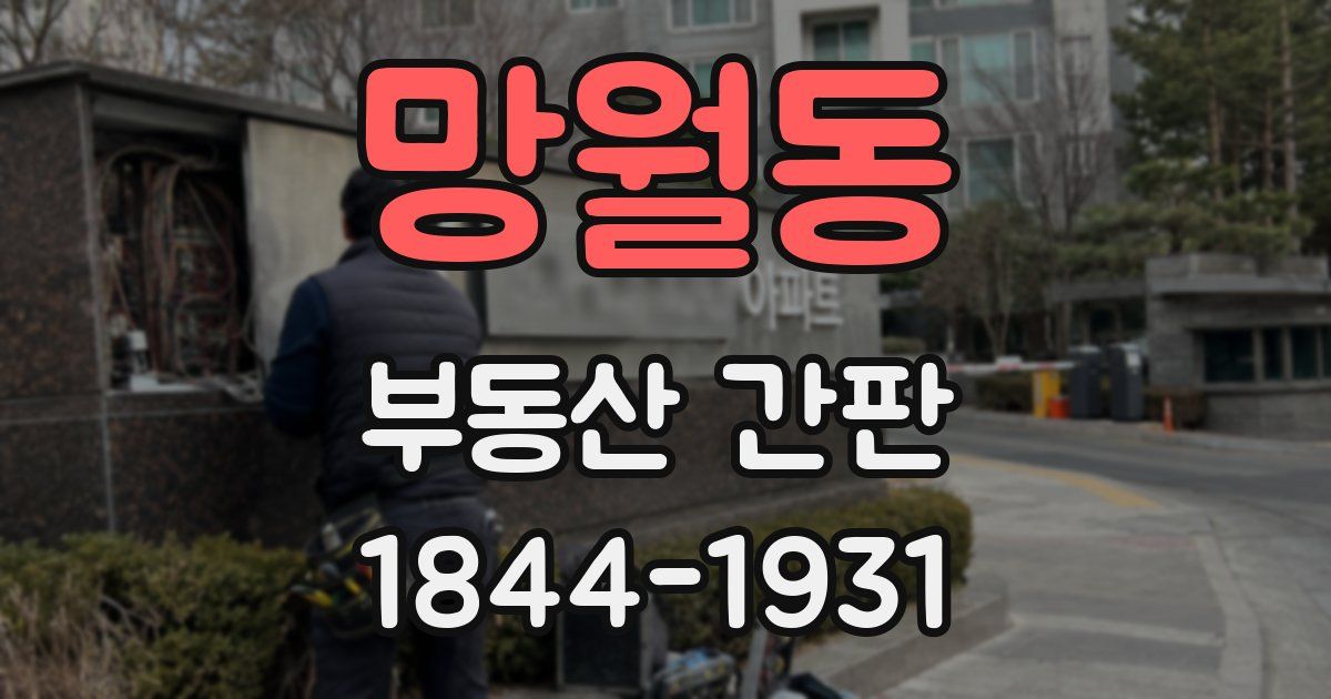 망월동 부동산 간판