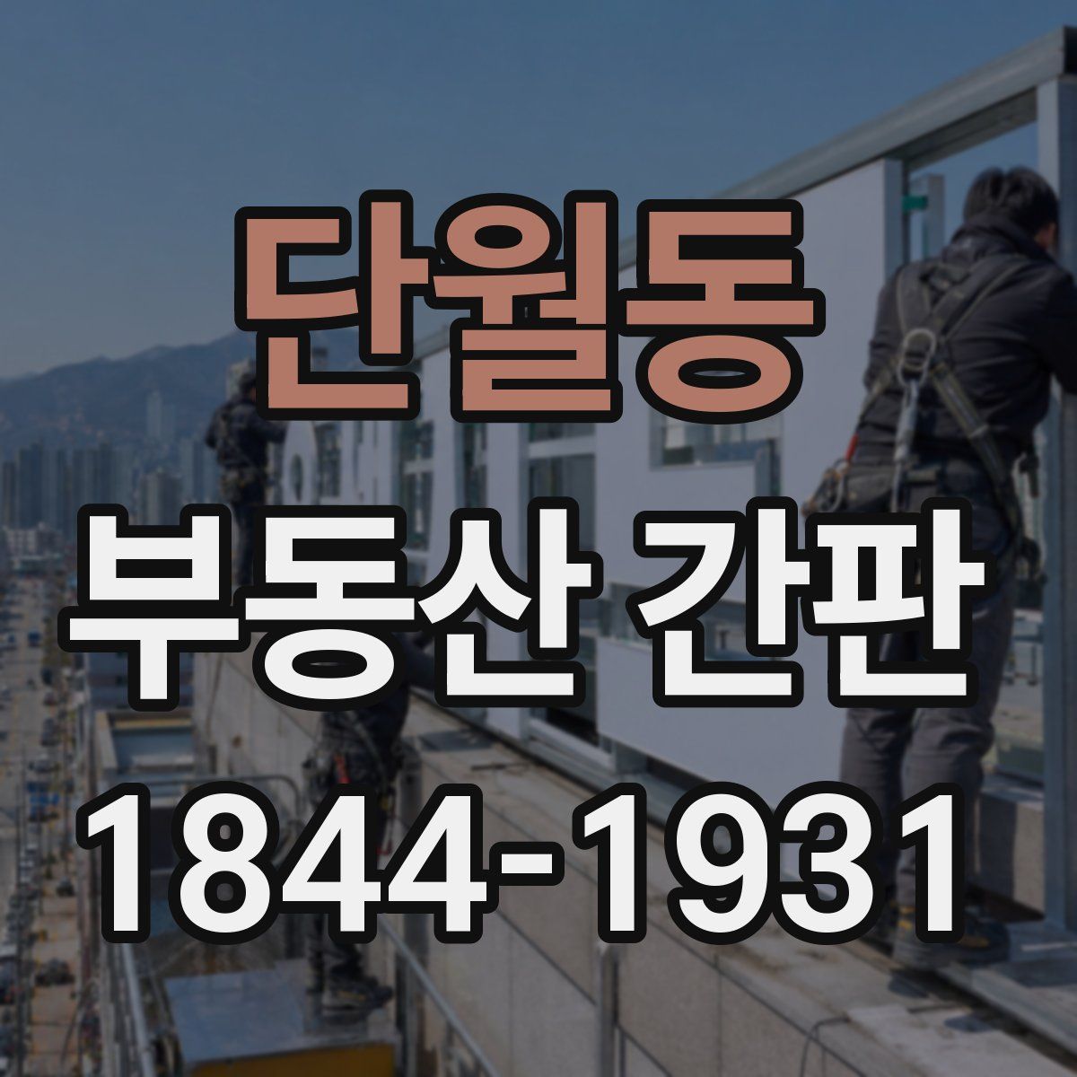 단월동 부동산 간판