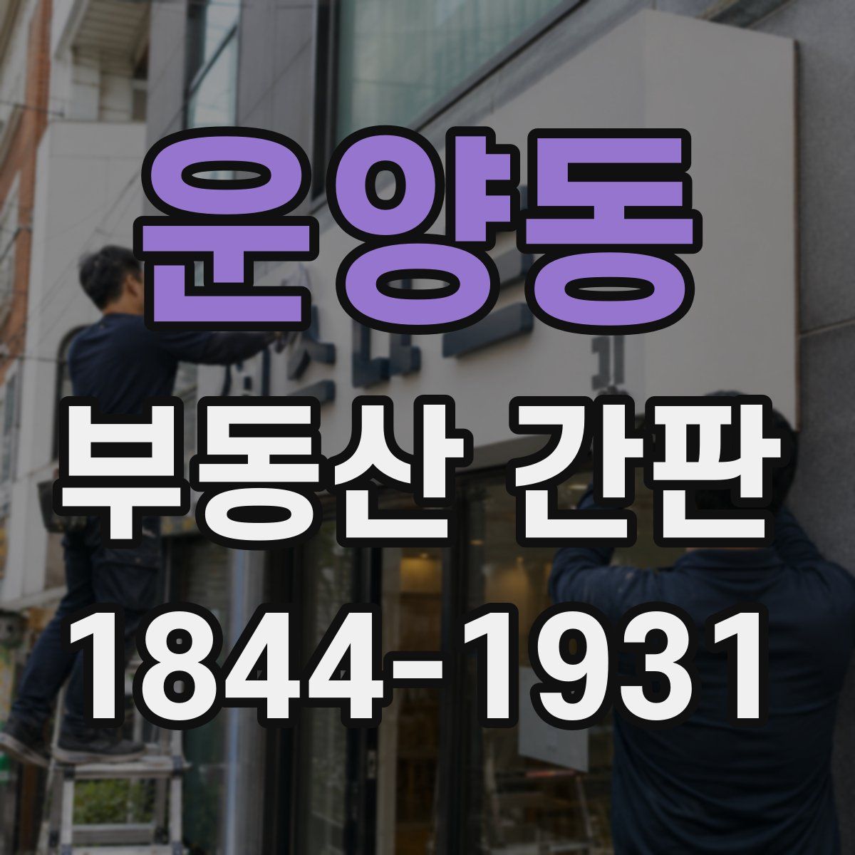 운양동 부동산 간판
