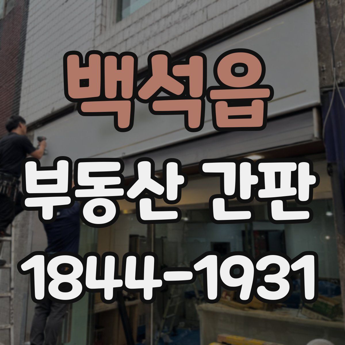백석읍 부동산 간판