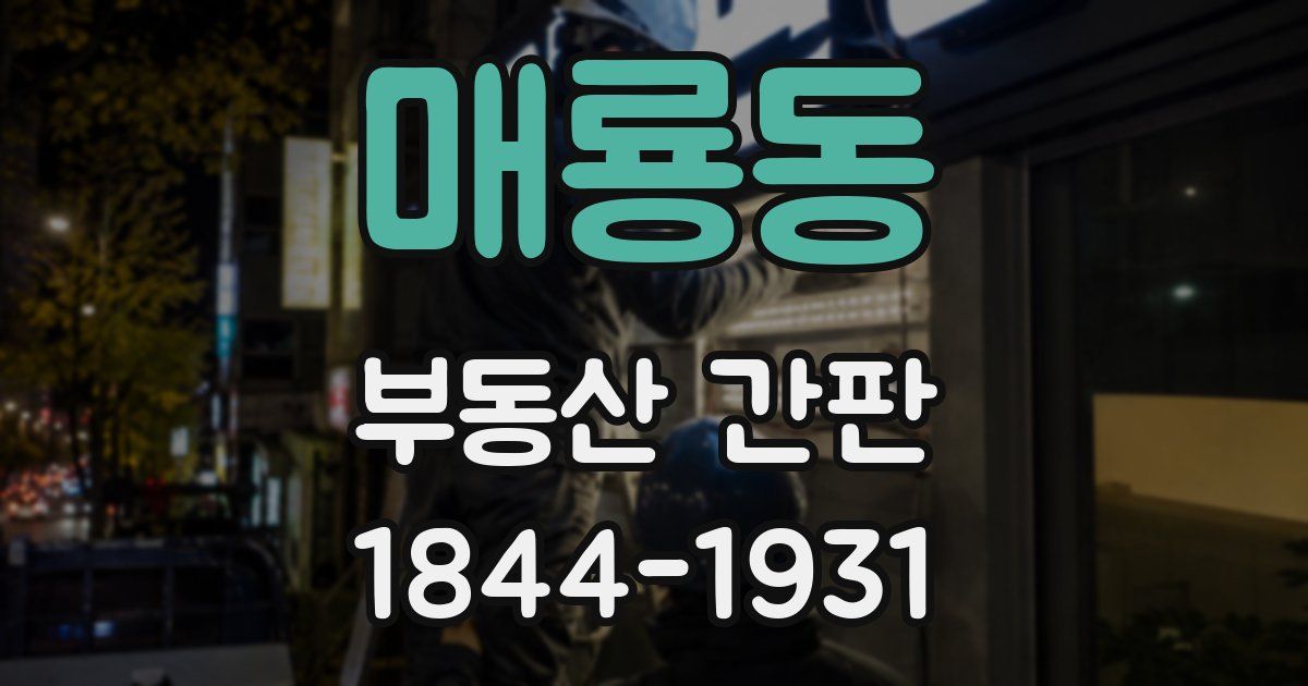 매룡동 부동산 간판