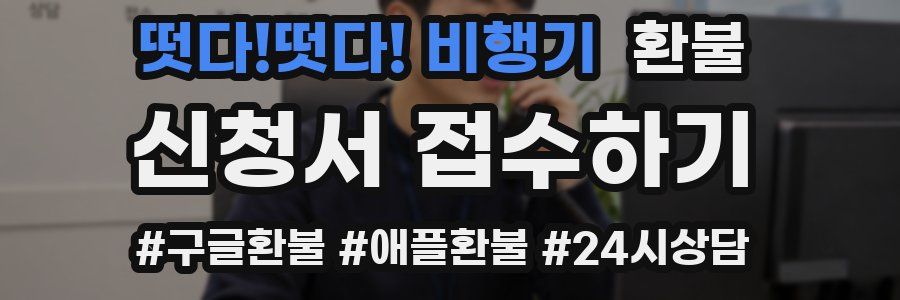 떳다!떳다! 비행기 환불