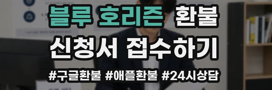 블루 호리즌 환불