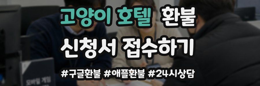 고양이 호텔 환불