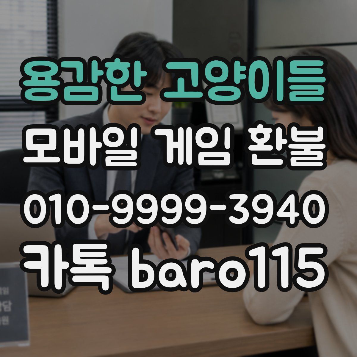 용감한 고양이들 환불