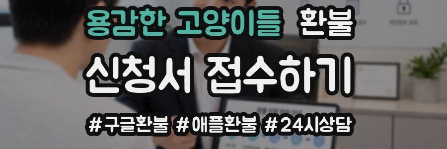 용감한 고양이들 환불