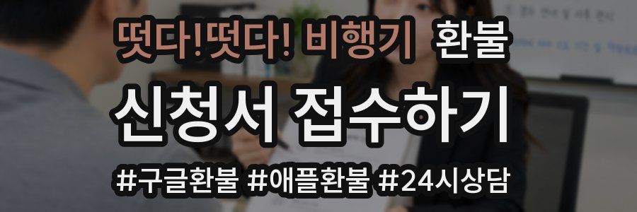 떳다!떳다! 비행기 환불