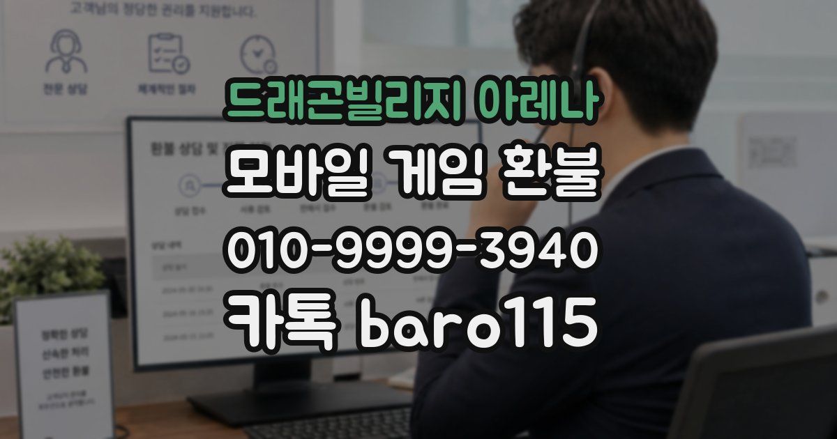 드래곤빌리지 아레나 환불