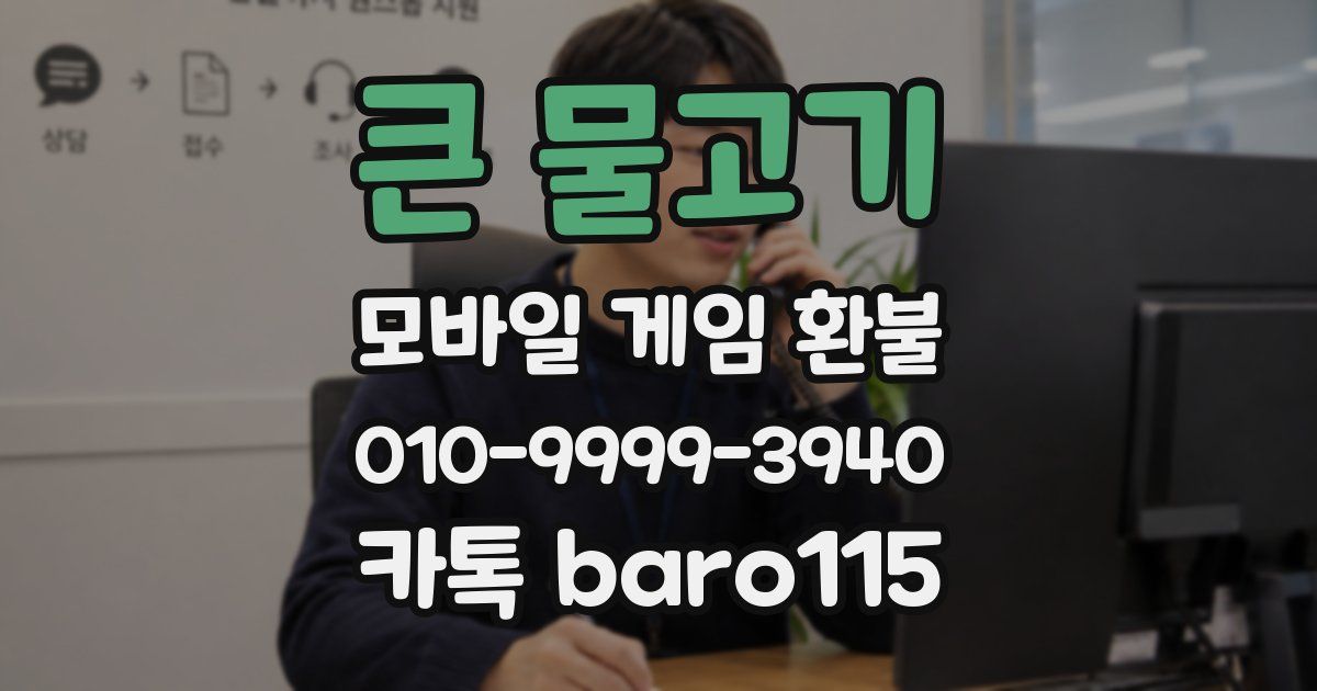 큰 물고기 환불