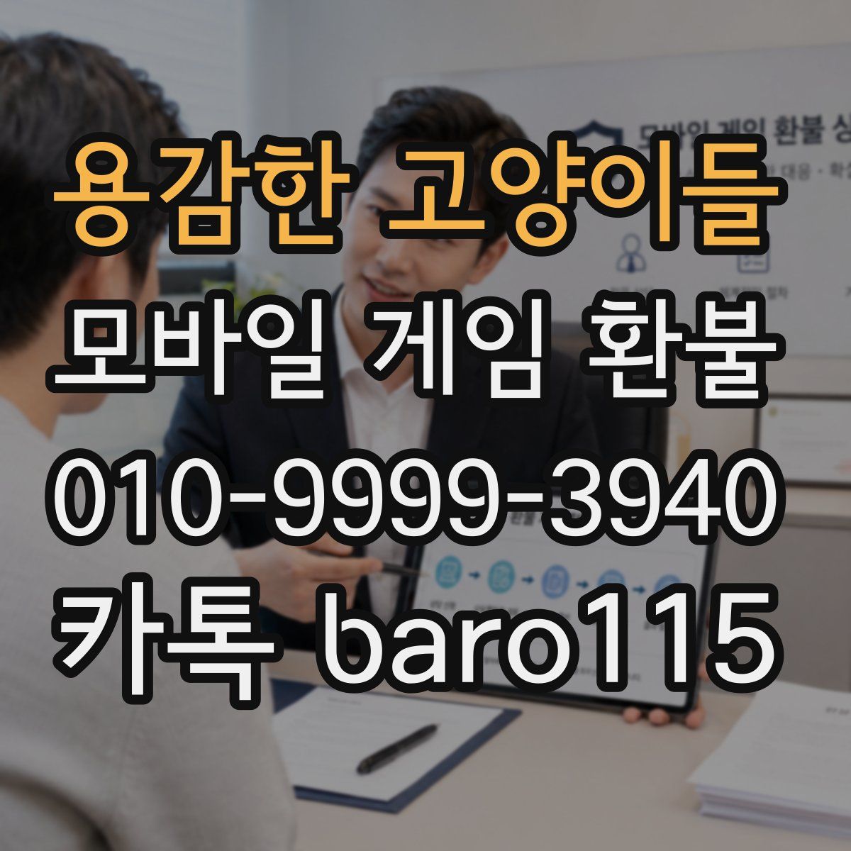 용감한 고양이들 환불
