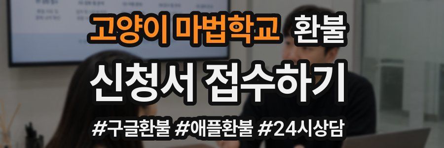 고양이 마법학교 환불