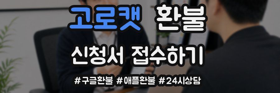 고로캣 환불