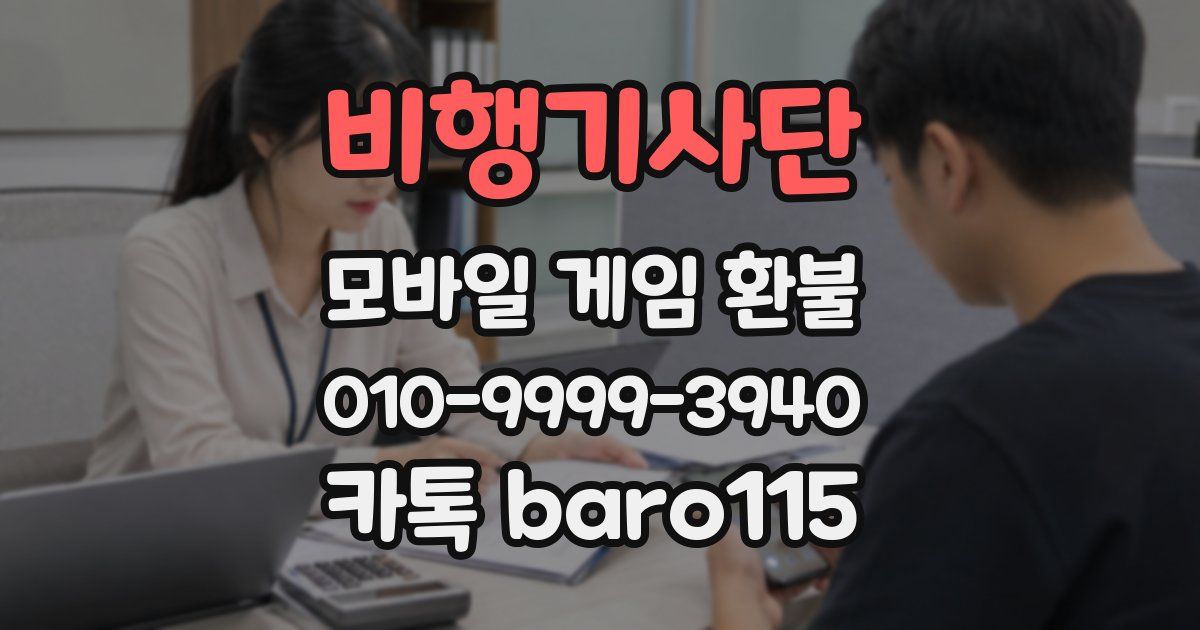 비행기사단 환불