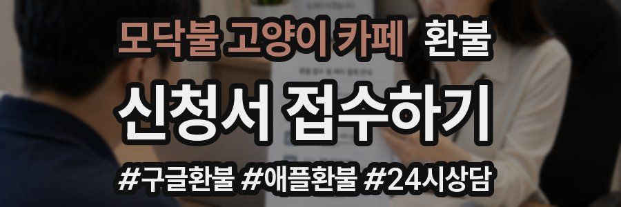 모닥불 고양이 카페 환불