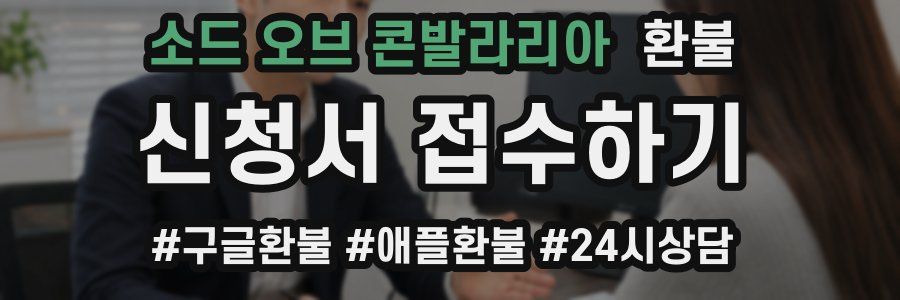소드 오브 콘발라리아 환불