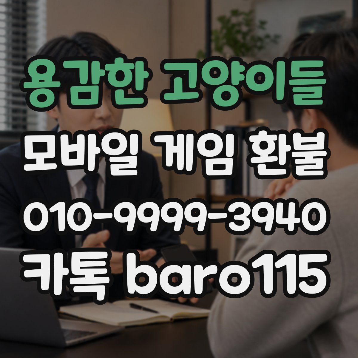 용감한 고양이들 환불