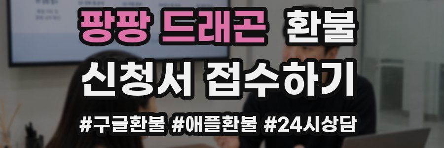 팡팡 드래곤 환불