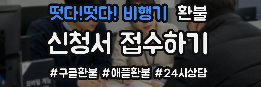 떳다!떳다! 비행기 환불