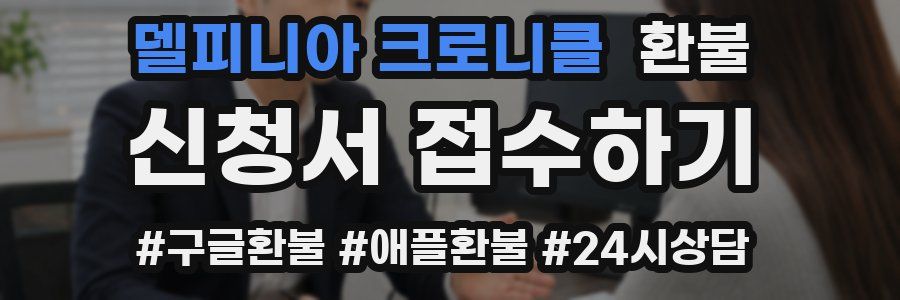 델피니아 크로니클 환불