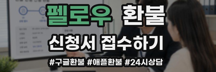 펠로우 환불